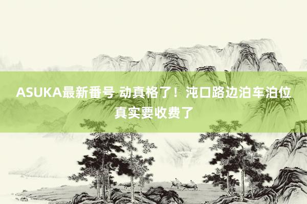 ASUKA最新番号 动真格了！沌口路边泊车泊位真实要收费了