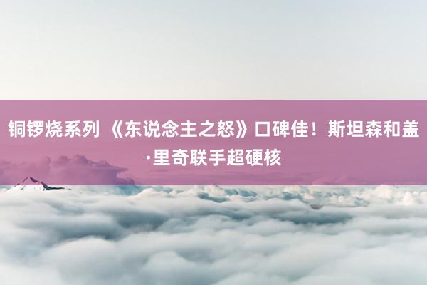 铜锣烧系列 《东说念主之怒》口碑佳！斯坦森和盖·里奇联手超硬核