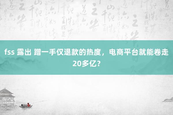 fss 露出 蹭一手仅退款的热度，电商平台就能卷走20多亿？