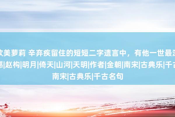 欧美萝莉 辛弃疾留住的短短二字遗言中，有他一世最深的缺憾|赵构|明月|倚天|山河|天明|作者|金朝|南宋|古典乐|千古名句