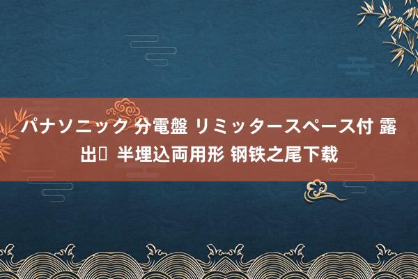 パナソニック 分電盤 リミッタースペース付 露出・半埋込両用形 钢铁之尾下载