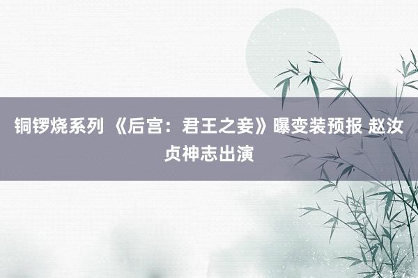 铜锣烧系列 《后宫：君王之妾》曝变装预报 赵汝贞神志出演