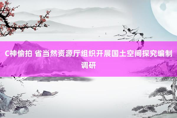 C神偷拍 省当然资源厅组织开展国土空间探究编制调研