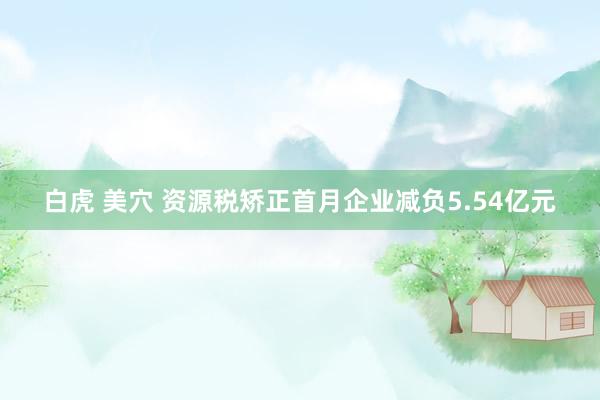 白虎 美穴 资源税矫正首月企业减负5.54亿元