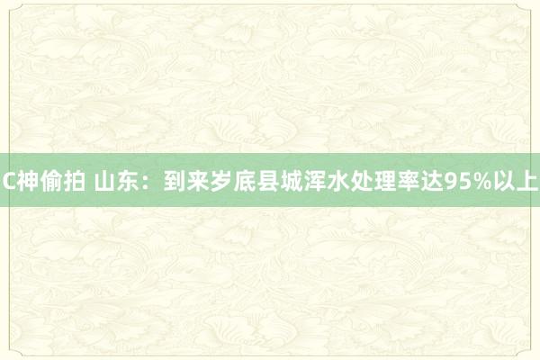 C神偷拍 山东：到来岁底县城浑水处理率达95%以上