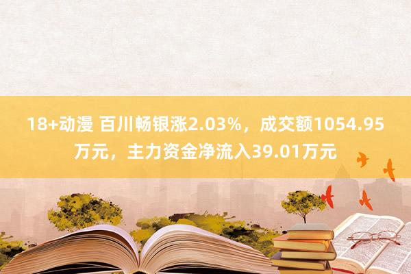 18+动漫 百川畅银涨2.03%，成交额1054.95万元，