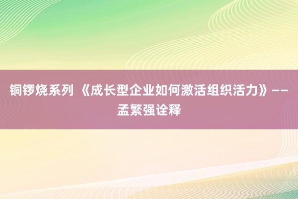 铜锣烧系列 《成长型企业如何激活组织活力》——孟繁强诠释