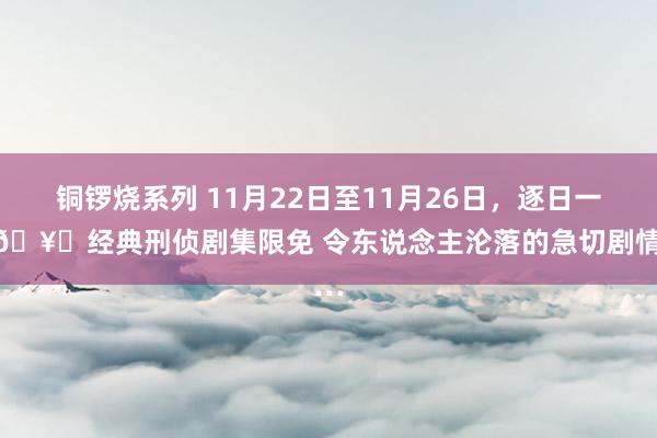 铜锣烧系列 11月22日至11月26日，逐日一部🥝经典刑侦剧